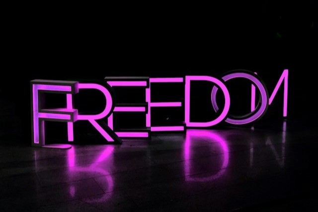 Neonschriftzug "Freedom"
