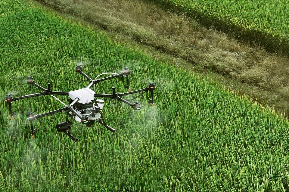 Feld, Drone, drone, field, grün, green, Gras, Acker, grass