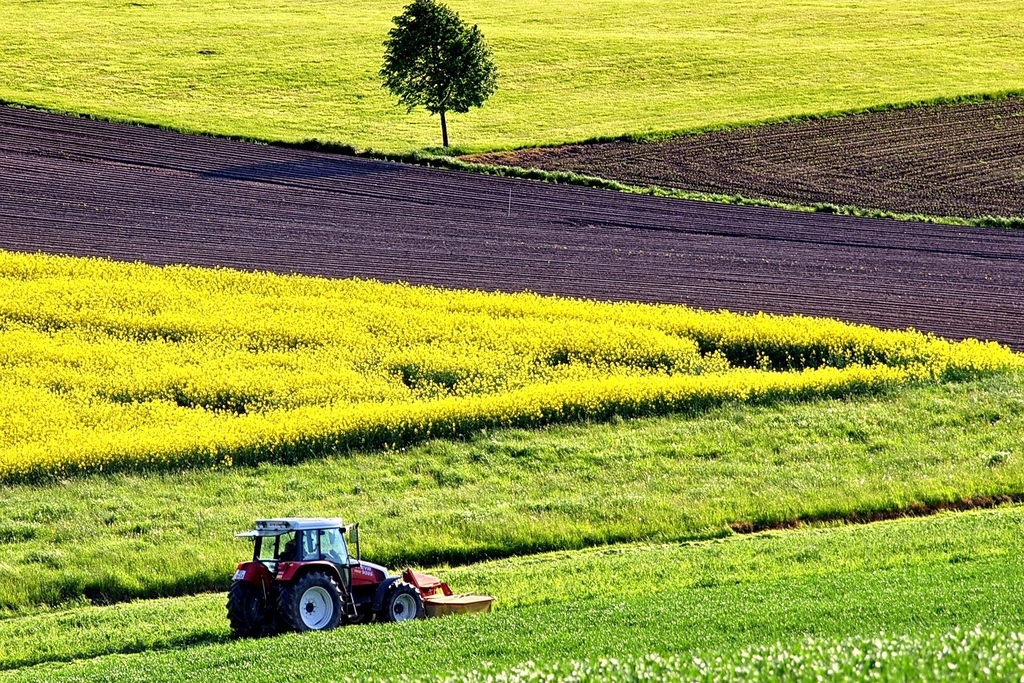 Acker, Feld, Traktor, field, tractor, Landwirtschaft