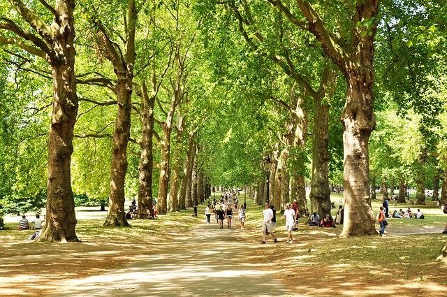 Stadtpark mit Menschen