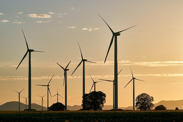 Windräder bei Sonnenuntergang