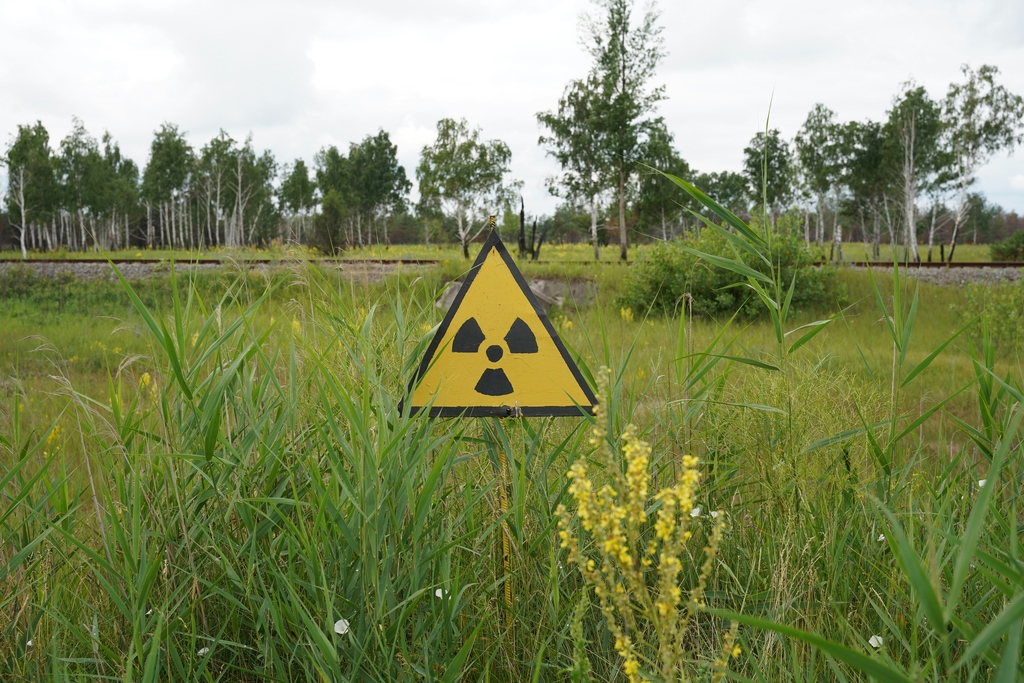 Warnschild für Radioaktivität in grünem, bewaldetem Gebiet.