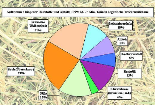 Die Power vom Lande - biogene Reststoffe und Abfälle im Überblick (relativer Aufkommensanteil in Deutschland 1999)